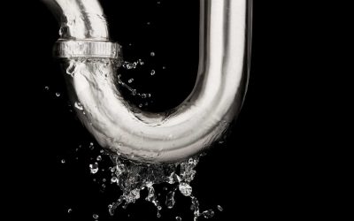 Top Signs You Might Have a Plumbing Leak in Your Home